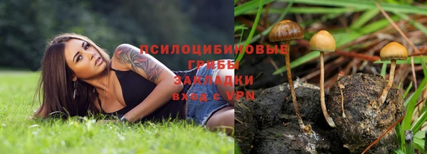 кокс Алексеевка