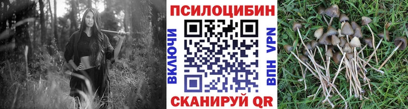 Псилоцибиновые грибы прущие грибы  MEGA как войти  Белоярский 